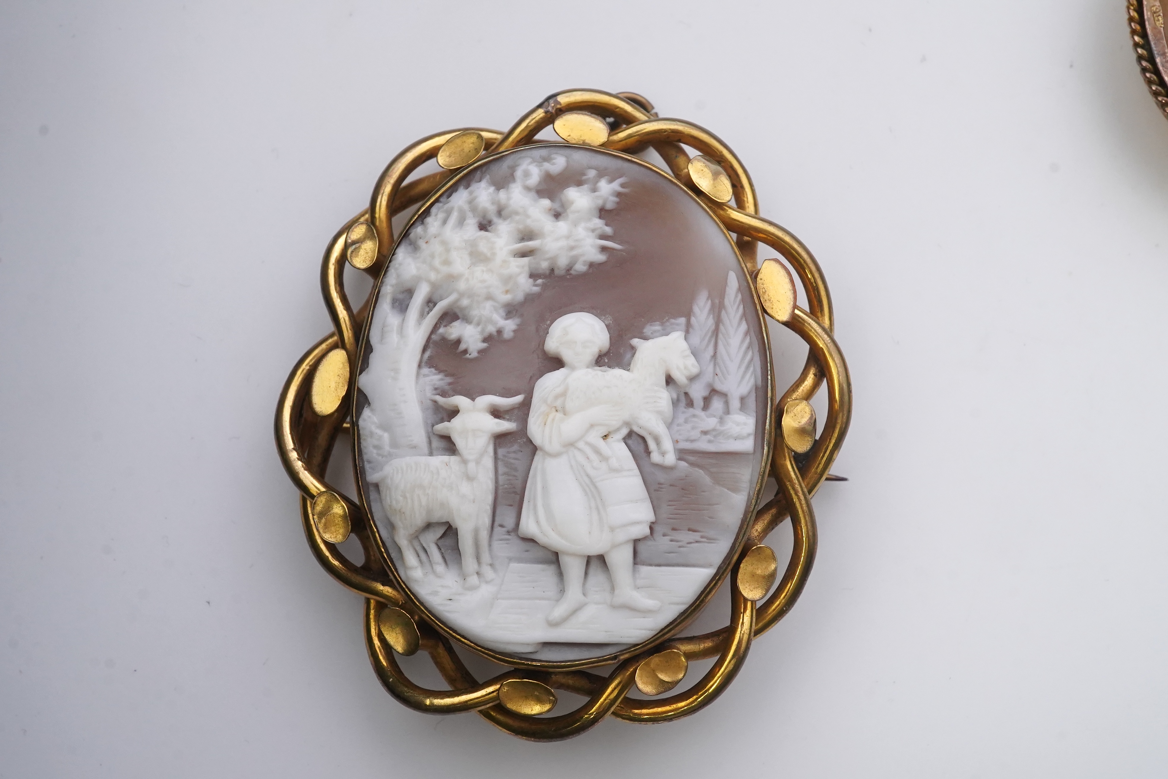 Three shell cameo brooches, 20th century